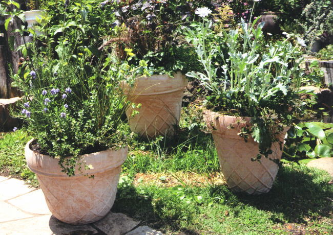 イタリア・メッシュ陶器テラコッタ鉢