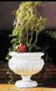 パイオリ花鉢