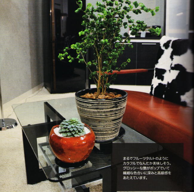タルト・室内植木鉢